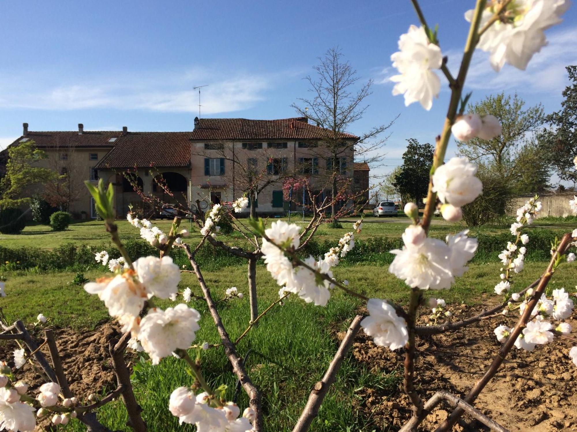 Fattoria Del Soul Hotel Bosco Marengo Esterno foto