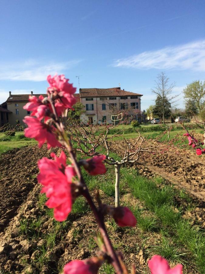 Fattoria Del Soul Hotel Bosco Marengo Esterno foto